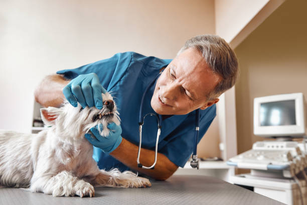Best Emergency Dental Extractions in Menard, TX
